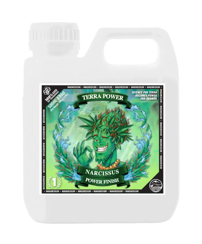 TERRA POWER Narcissus Power Finish 5 Liter