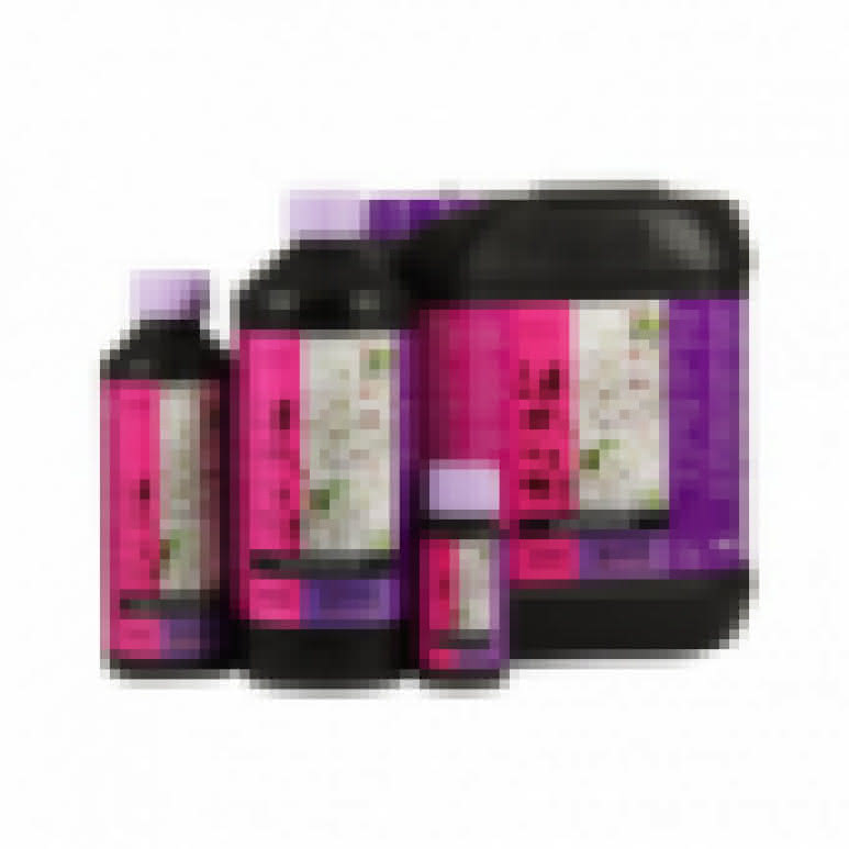 B-CUZZ Silic Boost 100ml - Siliziumbooster