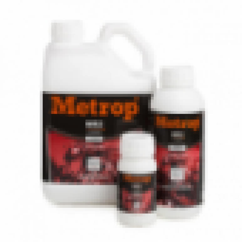 Metrop AminoXtrem Wuchs- und Blütestimulator 1 Liter