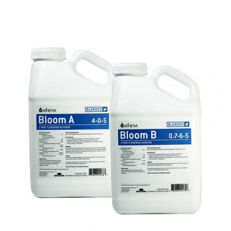 Athena Bloom A+B 3,78 Liter