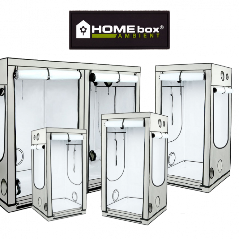 HOMEbox® Ambient Plus Serie