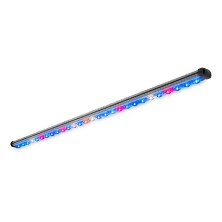 KIND LED Bar Light 120cm macro Wuchs