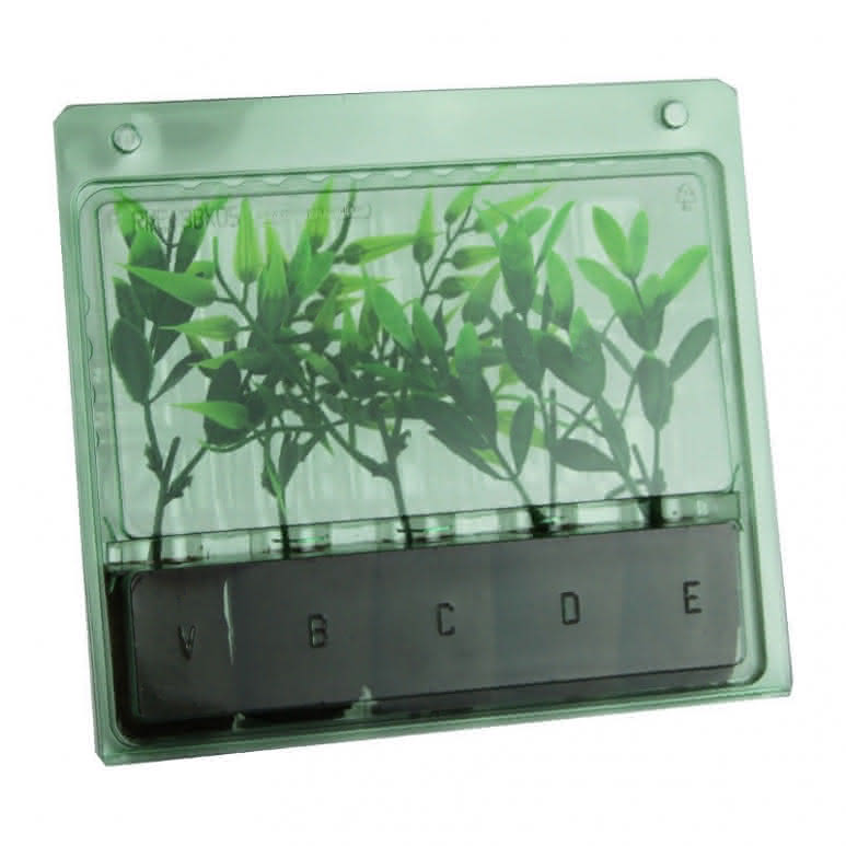 Stecklingsbox Transportbox Versandbox für Stecklinge Grow Growzelt 