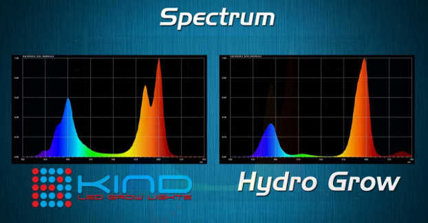 Was hat die KIND LED K5 Serie zu bieten?